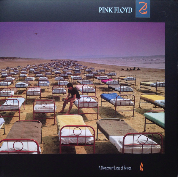 A Momentary Lapse Of Reason